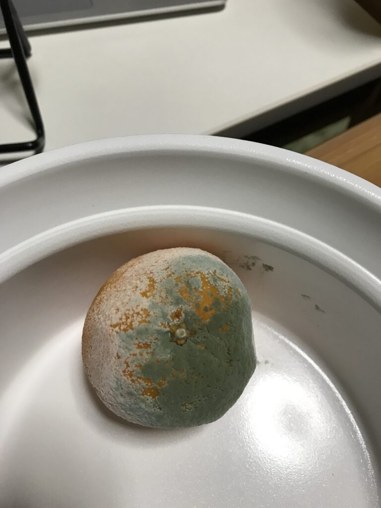 腐ったものとすり替えられたポンカン